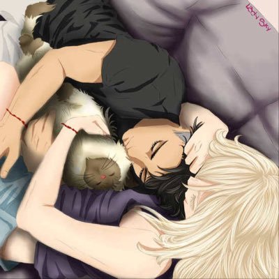 nomnomnomcat's profile picture. Just here because tumblr is being an ass