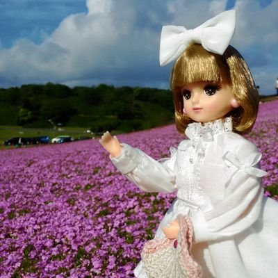 💕旧フローラ
💕きらちゃん
💕パレットＦ