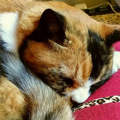 リディネル(ジル)さんのプロフィール画像