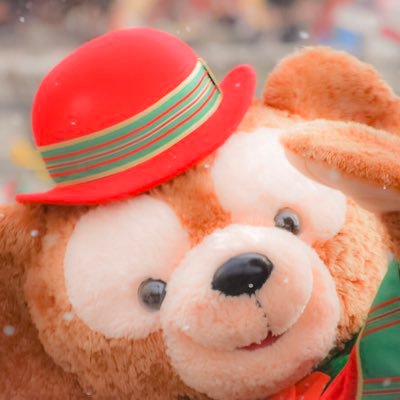 社会人🌋🏰|ダフフレ🧸|くまヲタ🐻|アナ❄|ユニベア|ぬいぐるみ🧸|Nikon D40X→D7500📷|01line|写真の無断使用お断り