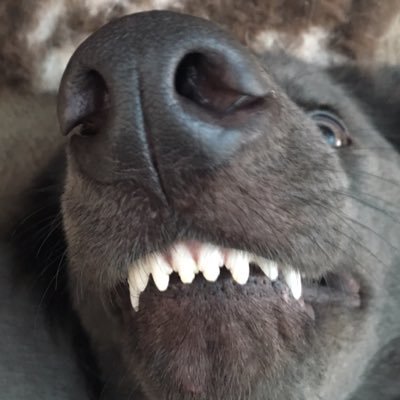 Nort Nortさんのプロフィール画像