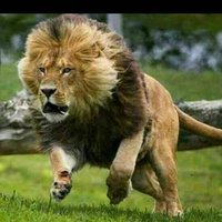 عبد العزيز العيسائي (@azez777826910) Twitter profile photo