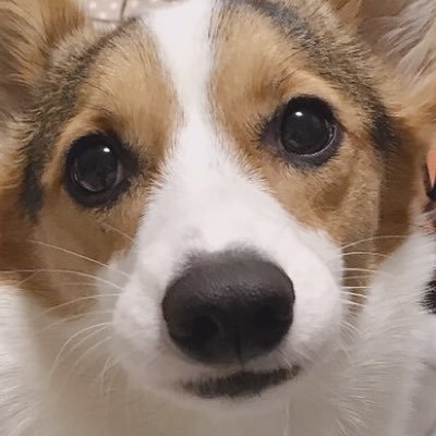 tarte1223's profile picture. 