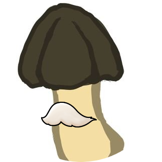 K_ta_No3's profile picture. まんがを読むのが趣味です。  うる星やつらとかリングにかけろがだいすき。  ゲームもやります。アナログでもデジタルでも色々。     やきうとソシャゲ多め。  ちなハム。