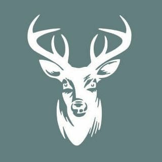 Hamiltons_Tavi's profile picture. 