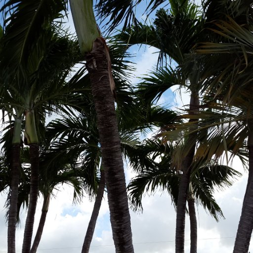 karl_preuss's profile picture. A man who believes everyone deserves at least one chance in life to become someone and that everyone is equal.  Education is what holds the world together.