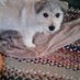 Sylvia Adams Rostron (@adamsrostron) Twitter profile photo Sylvia Adams Rostron (@adamsrostron) Twitter profile photo