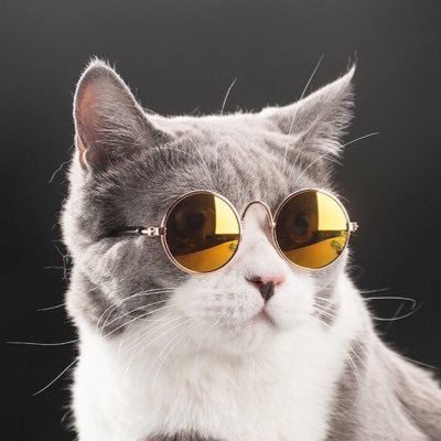 plzrt___'s profile picture. 