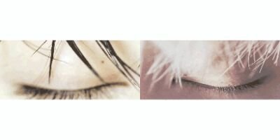 BEANSILVER_13's profile picture. RPS/비누연성계

비누는 찐.