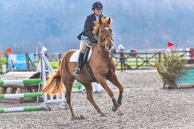 Missprossergeo1's profile picture. Teacher of Geography,History and Psychology.
BA Hons Archaeology and Geography.

Enjoys showjumping at the weekend