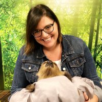 Patsy McGahey (@stemwithms_m) 's Twitter Profile