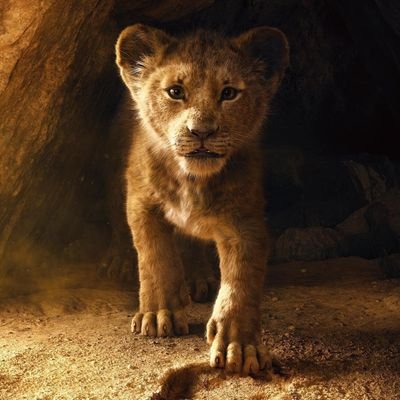 Gowda_Punith's profile picture. Proud Kannadiga..Hindu🚩