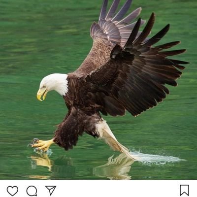 SebahattinDiri3's profile picture. 