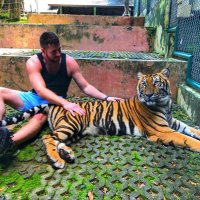 Ryan McNulty (@xrpmx13) 's Twitter Profile