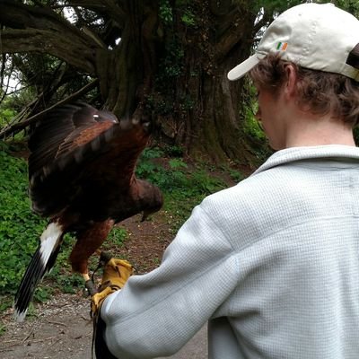 JustinMcN212's profile picture. Riff Raff used to follow me