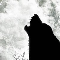 NHS Athletic Booster (@nhsathlbooster) 's Twitter Profile