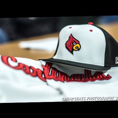 Official Twitter page of Mineral Area College Cardinals Baseball. NJCAA Region 16