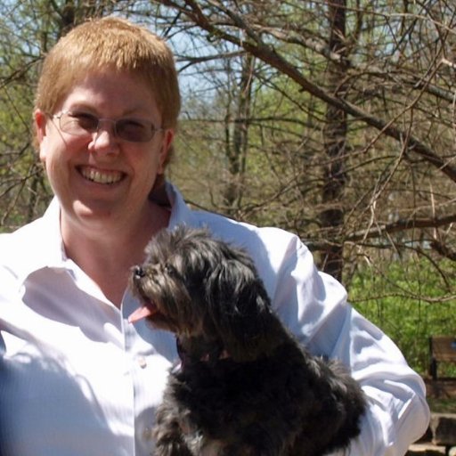 technogal's profile picture. Global SOC analyst. I see all!