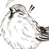 DreamScream (@walkinonascream) 's Twitter Profile Photo DreamScream (@walkinonascream) 's Twitter Profile Photo