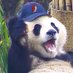 Dillon Sage 🐼 (@dasage) Twitter profile photo Dillon Sage 🐼 (@dasage) Twitter profile photo