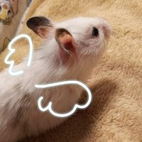 アきら (@mxsxts) 's Twitter Profile Photo アきら (@mxsxts) 's Twitter Profile Photo