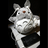 platypunk's profile image