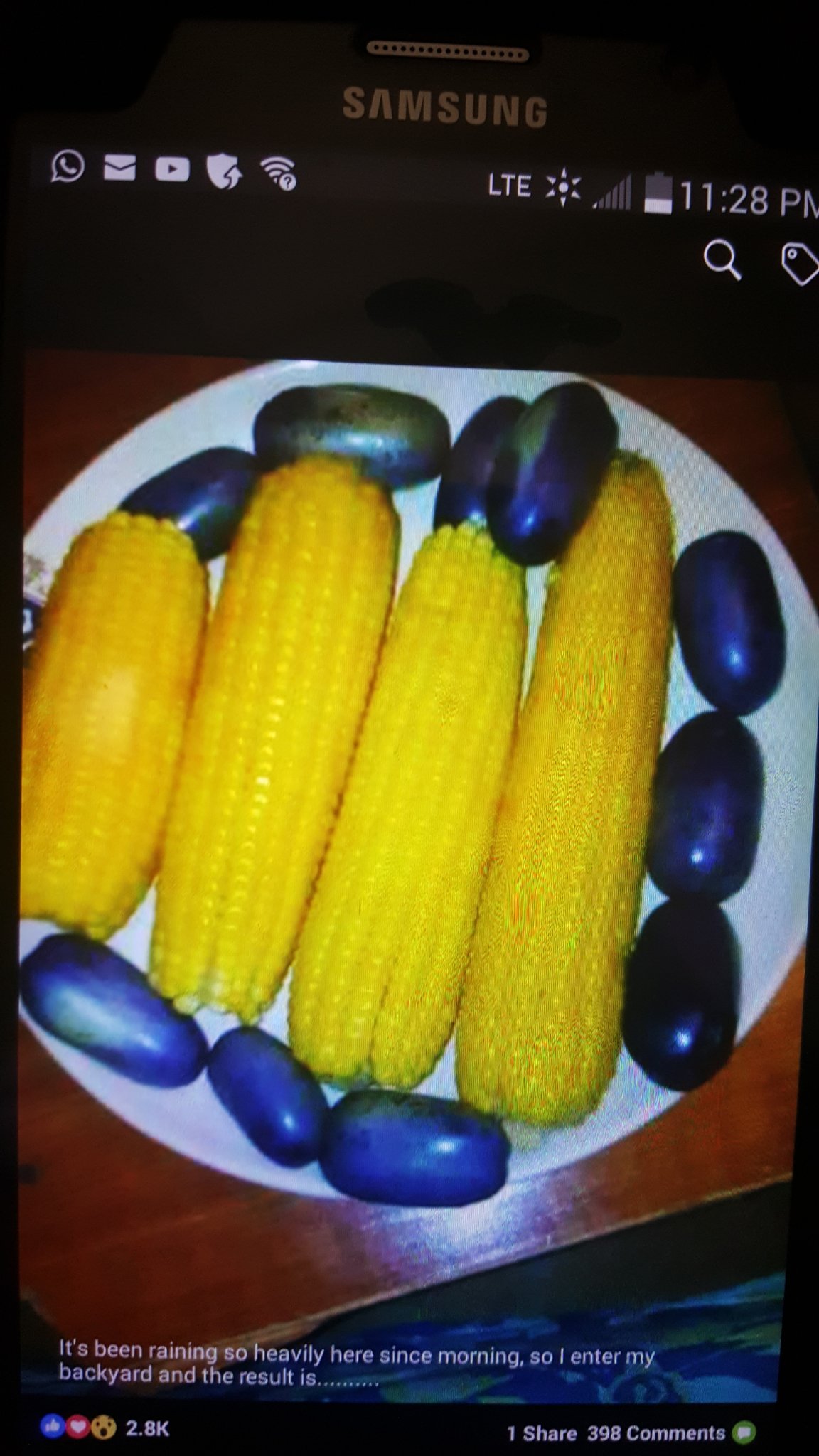 Manny48785286's profile picture. 