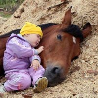 Aziz Arda Sancak (@ardasancak) 's Twitter Profile Photo Aziz Arda Sancak (@ardasancak) 's Twitter Profile Photo