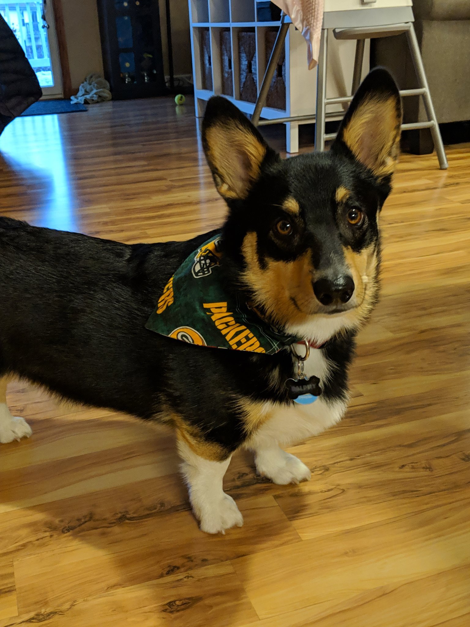 father of two awesome kids. Badger/Packer/motorsports fan