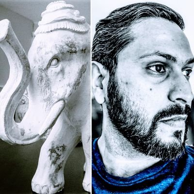 whit3elephant's profile picture. My random thoughts repo! likes and retweets are simply to spread the gossip, not endorsements!