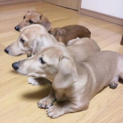 ゲーム垢と本垢両立してます。
主にPUBGをしております。
