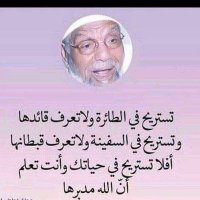 Tree Of Life Trading 🌳 شجرة الØÙŠØ§Ø© التجارية (@treeoflifetrad1) 's Twitter Profile