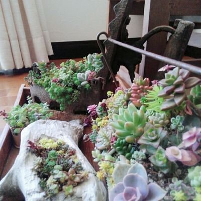 suzukiri0506's profile picture. ネコ(*´∀｀)最高❗ボールパイソン( ´ ▽ ` )最高‼生き物最高( ´ ▽ ` )‼
エロ最高‼そして愛…BUCK-TICKが好き♥