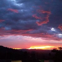 w.magu (@maguwinfred) 's Twitter Profile