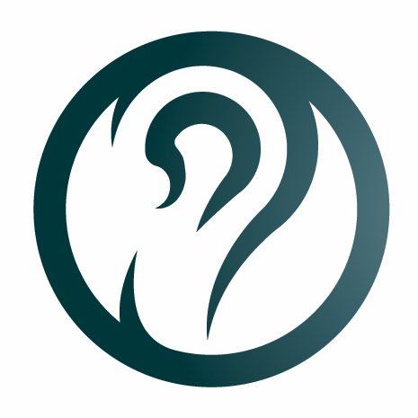 An end-to-end strategic podcasting consultancy providing definition, creation and distribution of podcast content that delivers business outcomes.