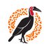 MGHP (@ground_hornbill) Twitter profile photo MGHP (@ground_hornbill) Twitter profile photo