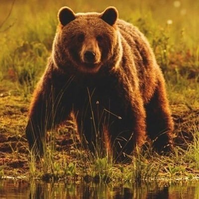 Edik9769's profile picture. 