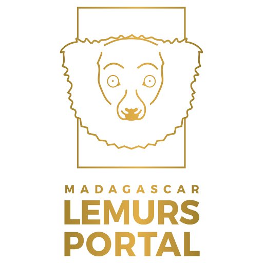LemursPortal Profile Picture