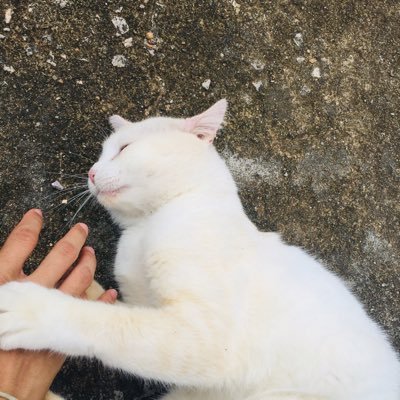 14450kl's profile picture. 