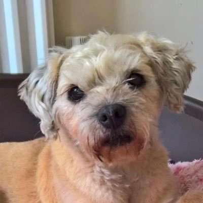 kymaskew's profile picture. Wife to Antony, mum to Kelli, Keiran and Makayla. Love Jesus! Love People!