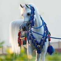 ♔ ‏﮼الكايده ﮼بنت ﮼ابوها♔ (@princess_mm15) 's Twitter Profile Photo