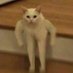 Mememachine (@mememachineow) Twitter profile photo Mememachine (@mememachineow) Twitter profile photo