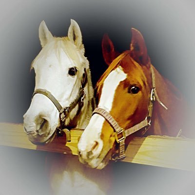 cwebb120301's profile picture. 