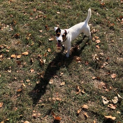 lapixed's profile picture. air traffic controller