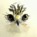 NikovanBrussel (@nikovanbrussel) Twitter profile photo