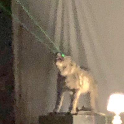 howlinggay's profile picture. you know what this is, it's Brian's private rant twitter about life, public is @kickingupfire