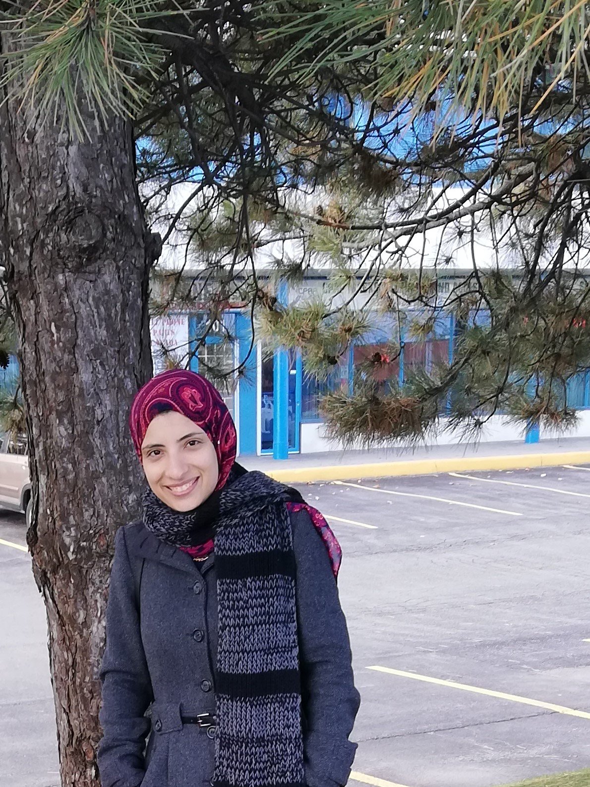 MariamHamdyMo's profile picture. 