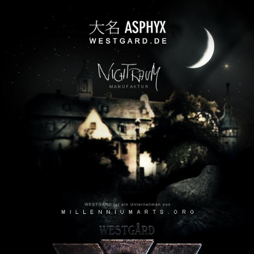 nichtraum's profile picture. Westgård's multidimensional factory | @westgardcentral @datenarche