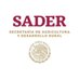 SADER Puebla (@saderpue) Twitter profile photo SADER Puebla (@saderpue) Twitter profile photo