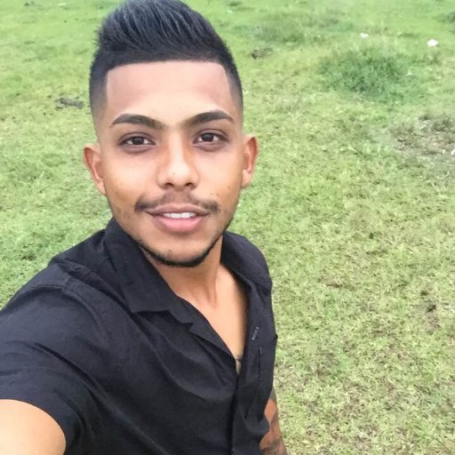 un tigre mas que intenta buscar la realidad en este nuevo mundo de redes sociales